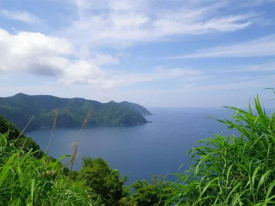 Business Hotel Saigo - Image 1
