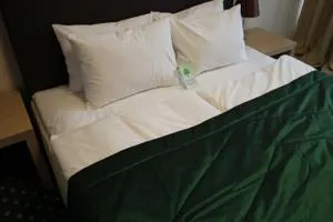 Green City Hotel - Image 1