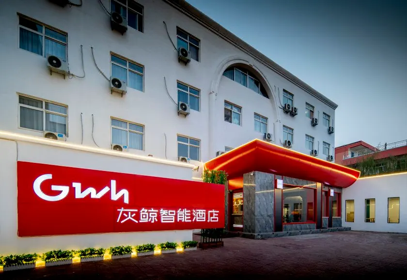 Grey Whale Intelligent Hotel (Lixian Government) - Image 1