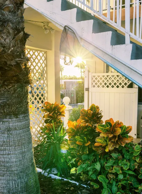 Beachside Gardens - Image 1