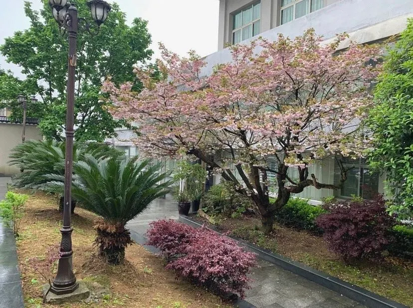 Liupanshui Liuzhi Hotel - Image 1