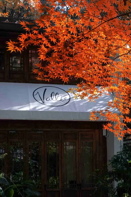 Vallie hotel - Image 1
