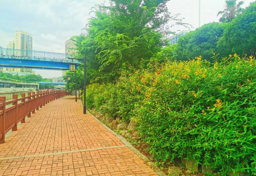 Rongyu International Hotel (Jishhou Municipal Government Ganzhou Ancient City Branch) - Image 1