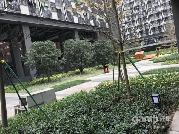 Xiaopa Apartment Hotel (Guangzhou Vanke Yuncheng Miku) - Image 1