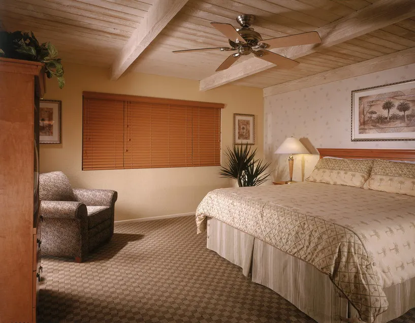 Desert Isle of Palm Springs - Image 1
