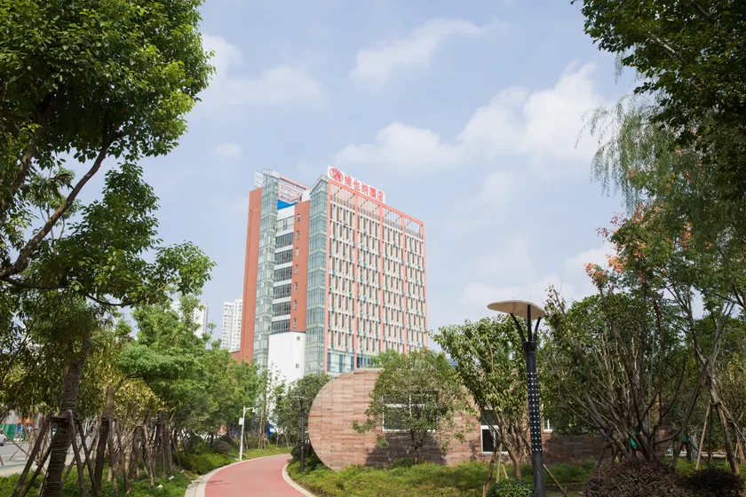 Vienna Hotel (Wuhan Moshui Lake) - Image 1