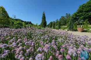 The Stay Healing Park - Image 1