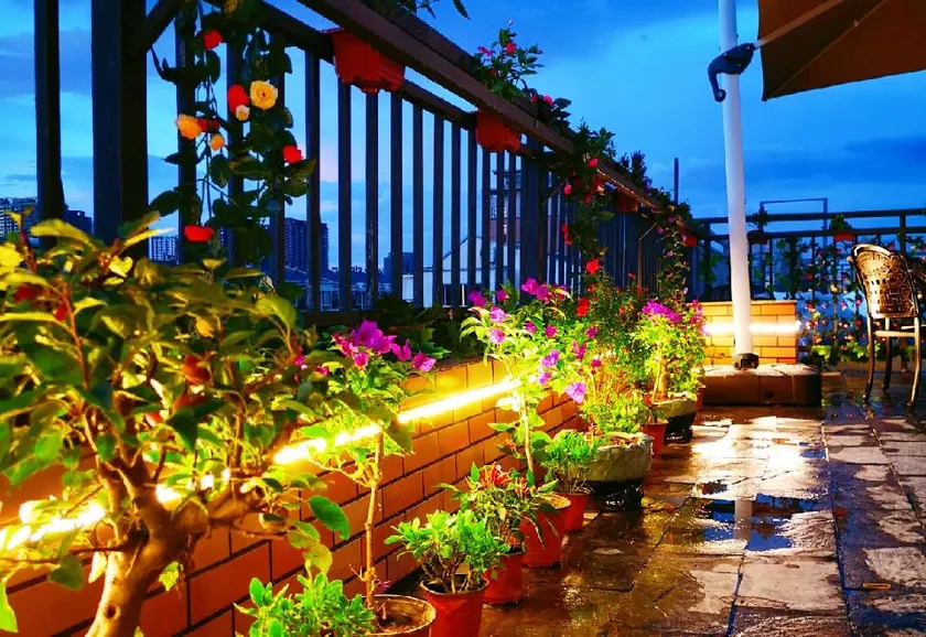 Yamei garden Homestay - Image 1