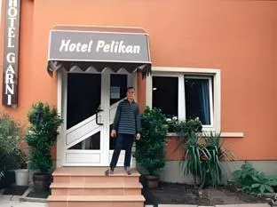 Pelikan - Image 1