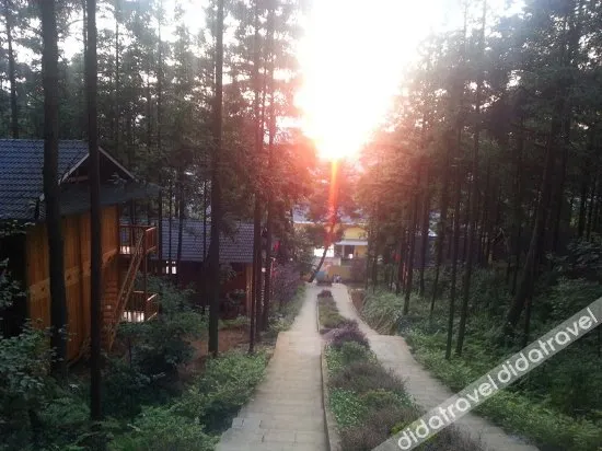 Longrun Forest Hotel - Image 1