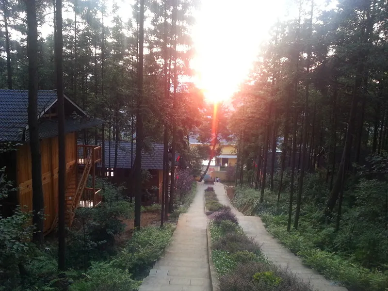 Longrun Forest Hotel - Image 1
