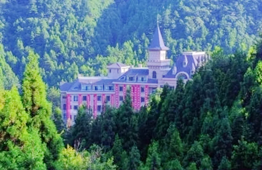 Swan Castle Wellness Resort Hotel - Image 1