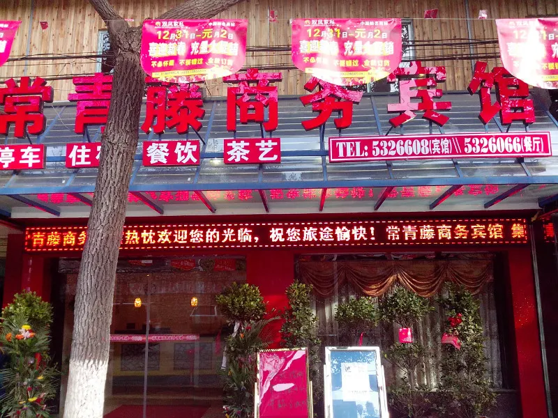 Ivy Business Hotel - Image 1