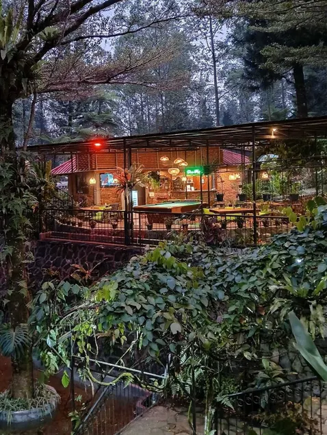 The Pinewood Lodge and Organic Farm - Image 1
