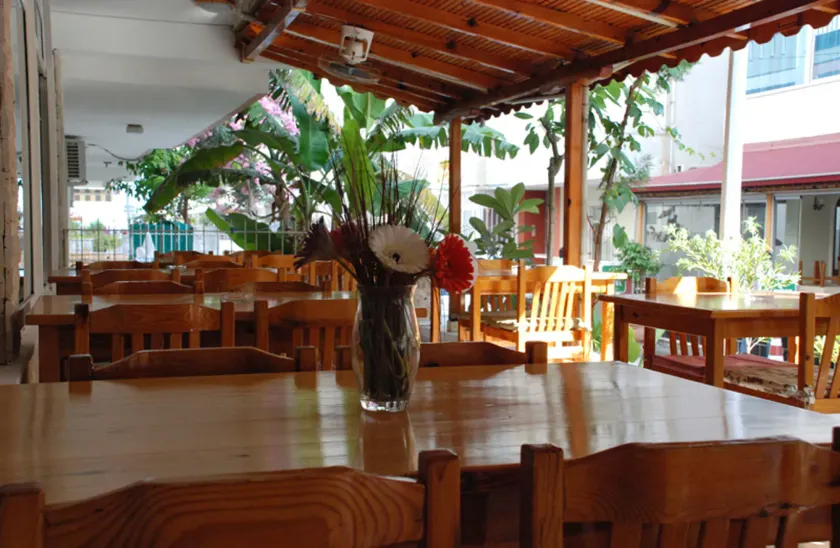 Rain Hotel - Image 1