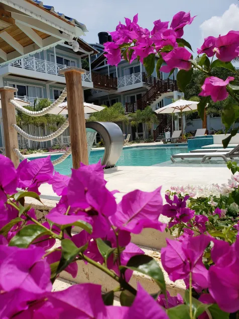 Oasis Tolú Hotel Boutique - Image 1