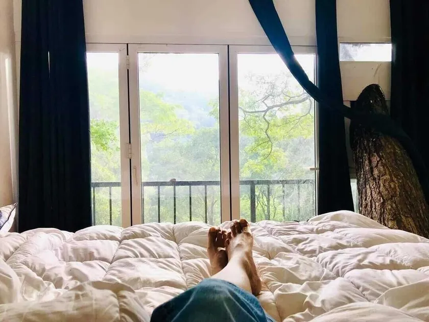 Tree Nature Resort - Room