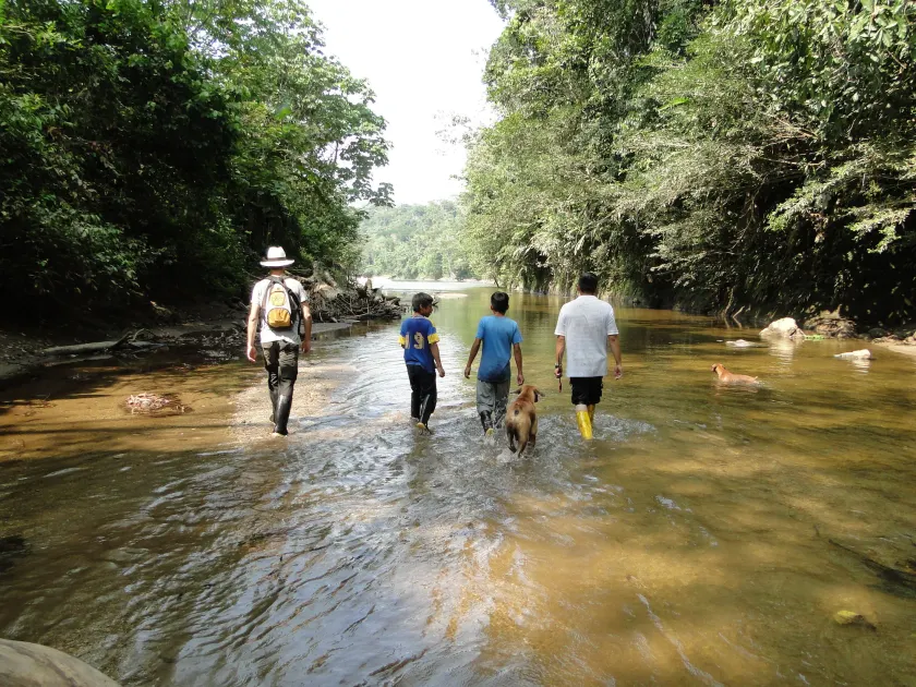 Grand Selva Lodge & Tours - Image 1