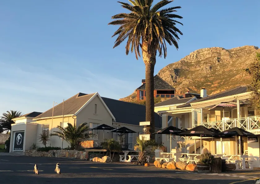 Boulders Beach Hotel, Cafe and Curio shop - Image 1