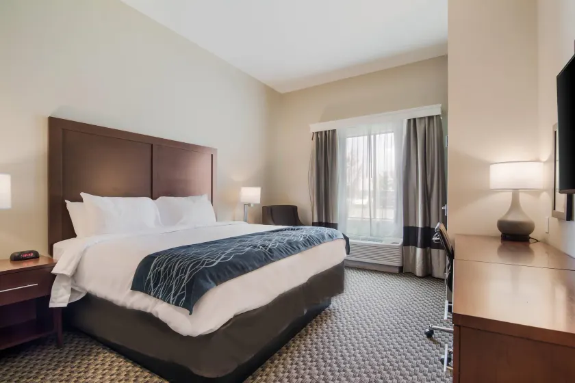 Comfort Inn & Suites Rock Hill Northeast - Image 1