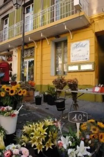 Hôtel Du Cours - Image 1