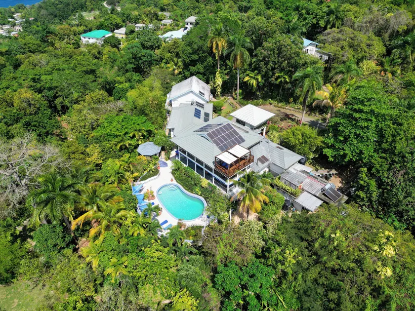LF Jungle Retreat - Image 1