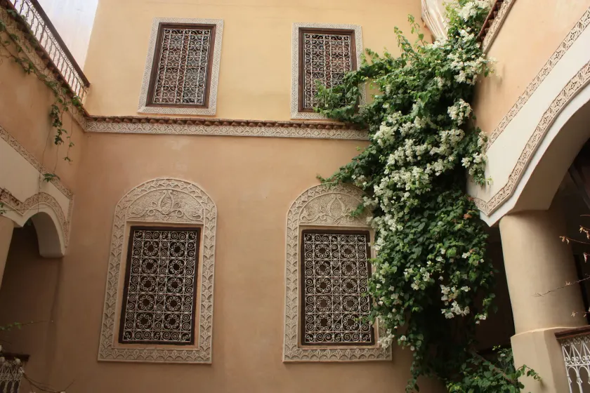 Riad Lorsya - Image 1