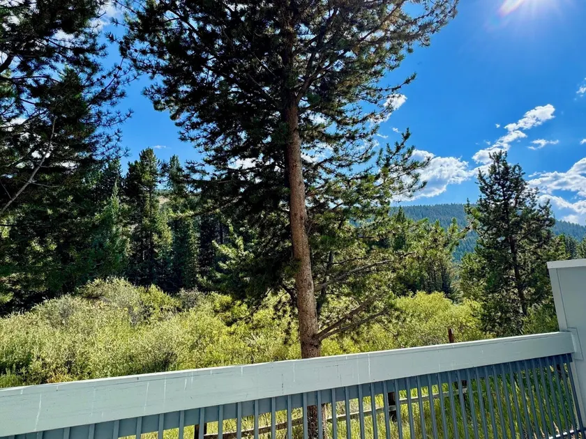 Liftside by SummitCove Vacation Lodging - Image 1