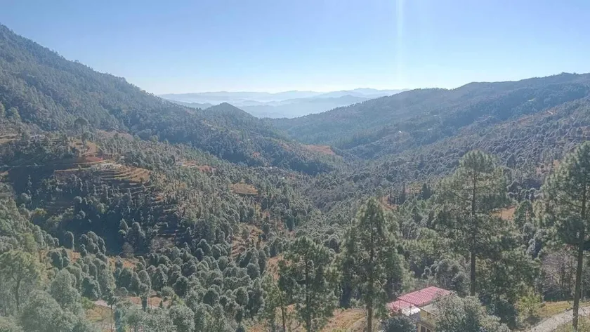 Cherry Guest House, Dunagiri Hills, Almora - Diverse