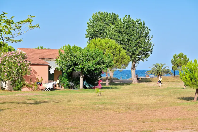 Pinea Mare - Image 1