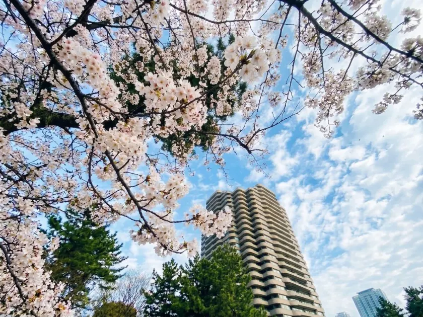 Tokyo Marriott Hotel - Image 1