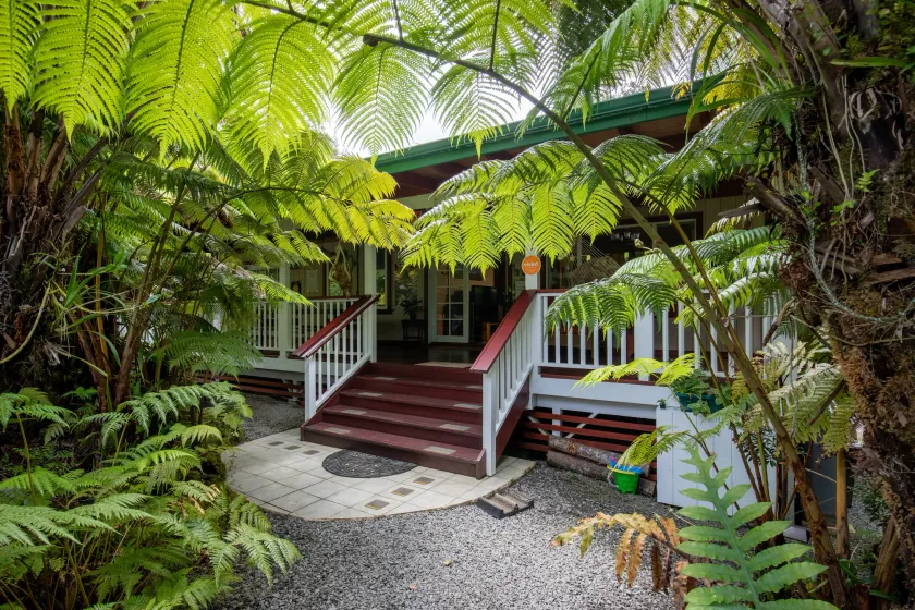 Alas Del Kealoha - Image 1