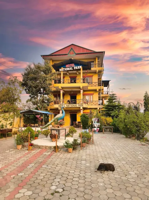 Hotel National Park Sauraha- Homely Stay and Peaceful Location with Jungle Safari arrangements - Image 1