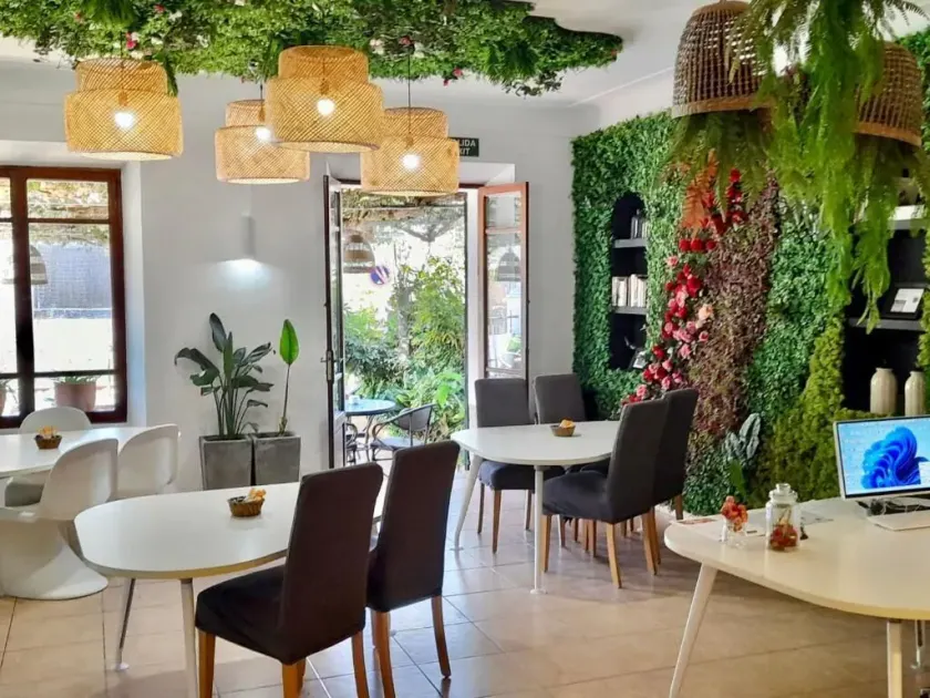 Primavera House Port Sóller formerly Sol Port Sóller - Image 1