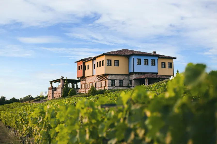 Estate Kalaitzis - Image 1