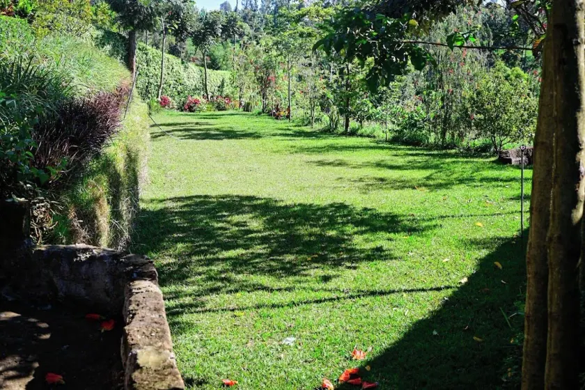 Calm Breeze Resort Rwanchege - Image 1