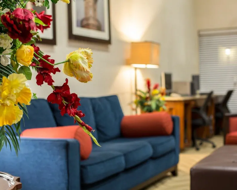 Comfort Suites Cumming-Atlanta near Northside Hospital Forsyth - Hall