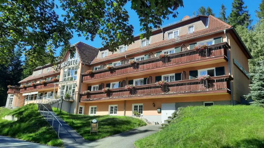 Parkhotel Bad Brambach - Image 1