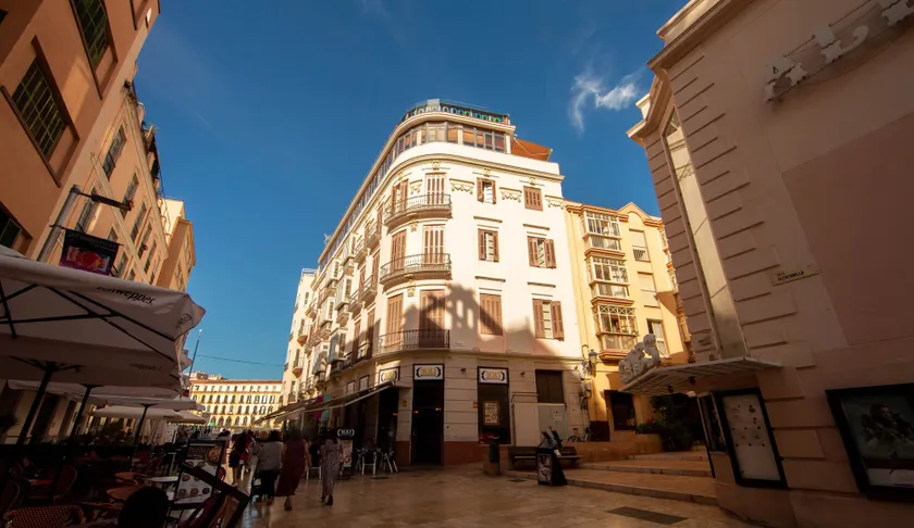 Alcazaba Premium Hotel - Image 1