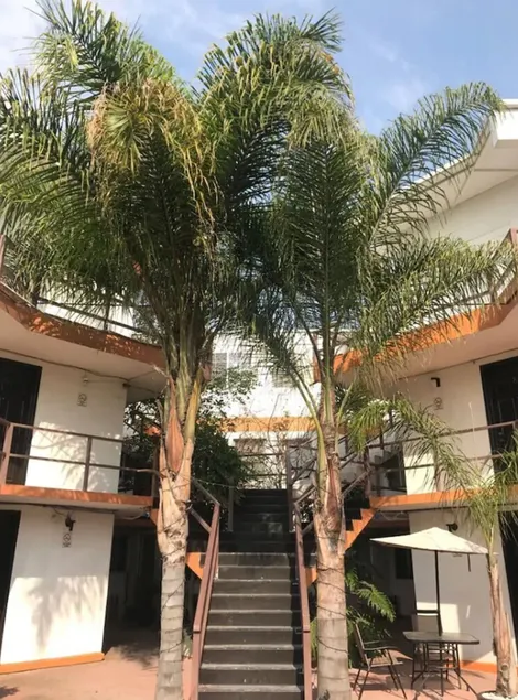 Hotel Palmas - Image 1
