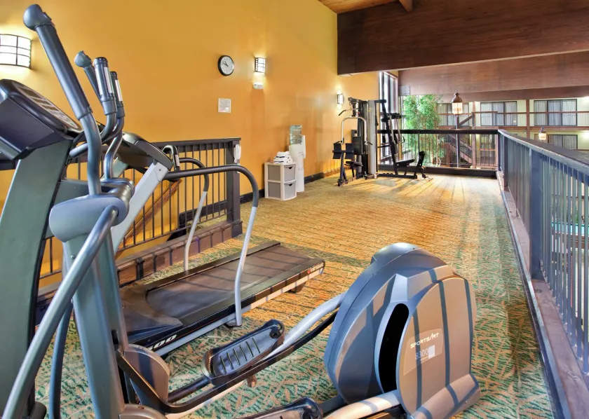 Holiday Inn At Six Flags Saint Louis by IHG - Image 1