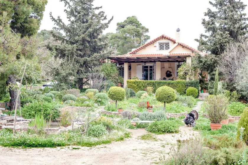 Beautiful mini eco farmhouse - Image 1
