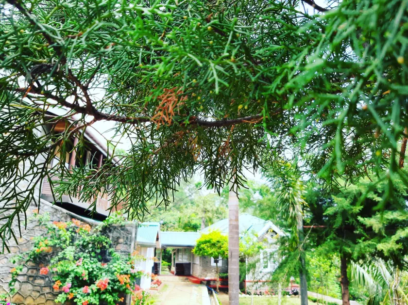 Kallycave Eco Lodge - Image 1