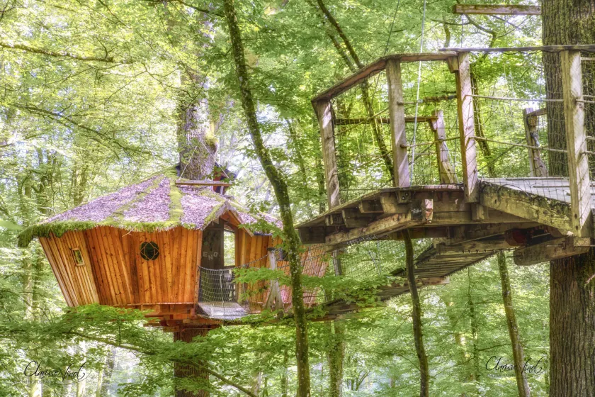 L'Arbre à Cabane - Image 1