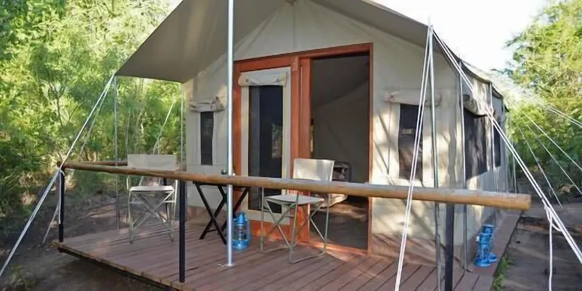 The Wild Olive Tree Camp - Image 1