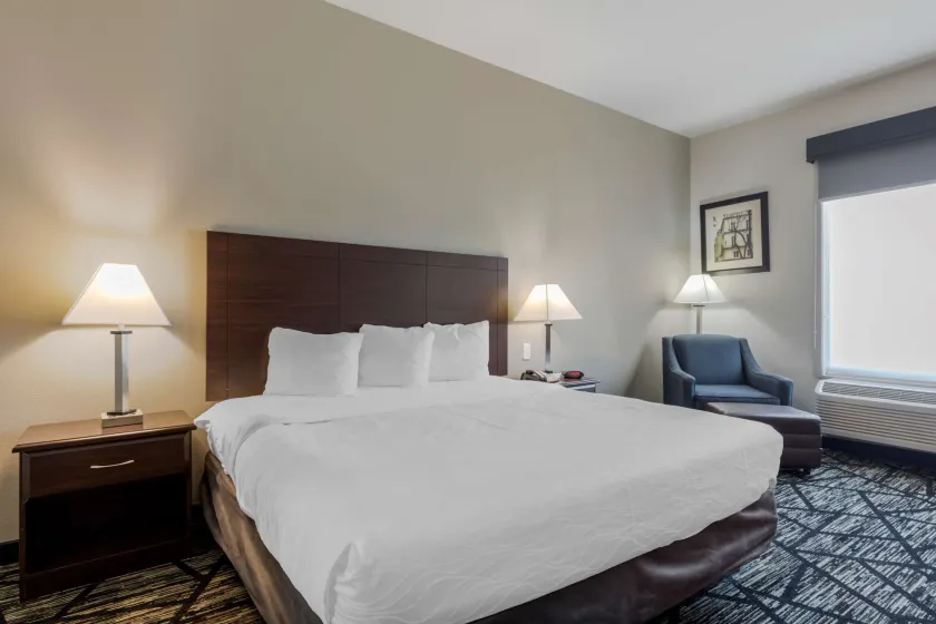Best Western Plus McKinney Inn and Suites - Image 1