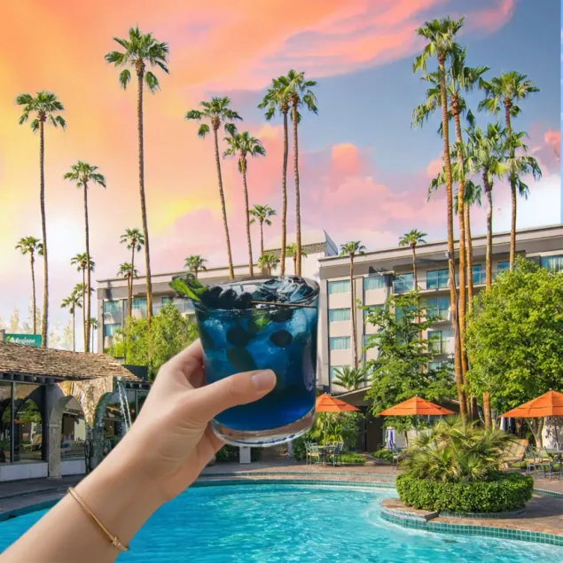Hotel Lucerna Mexicali - Image 1