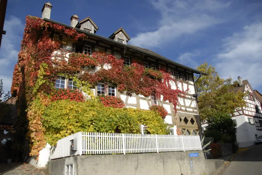 Guesthouse Les Mignardises - Image 1