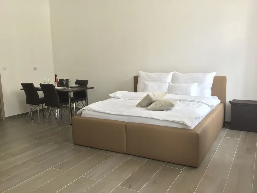 EURO APARTMENTS LIDICKÁ 39 BRNO - Image 1
