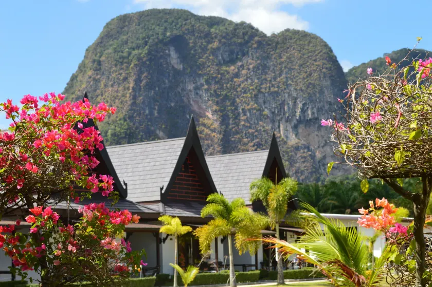 PARADIS VERT - Image 1